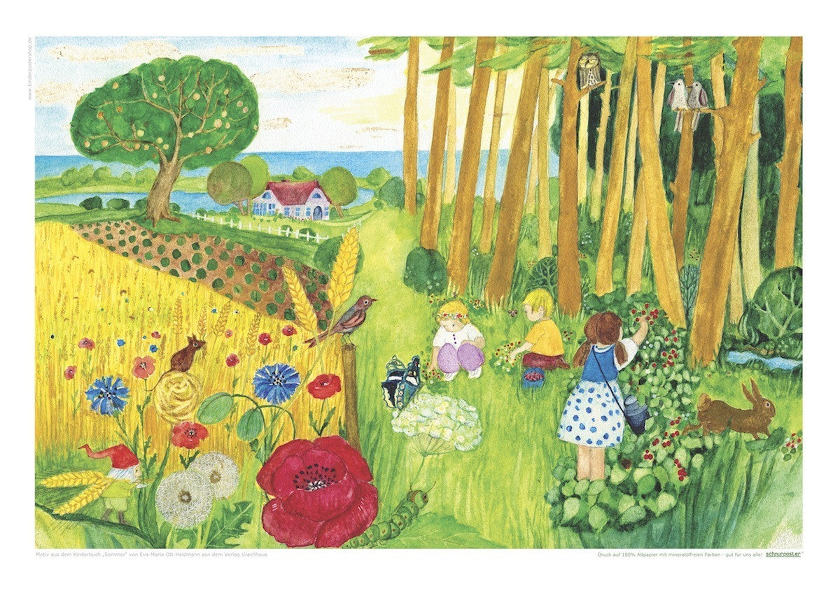 <i>Summer</i> Postcard Collection by Eva-Maria Ott-Heidmann